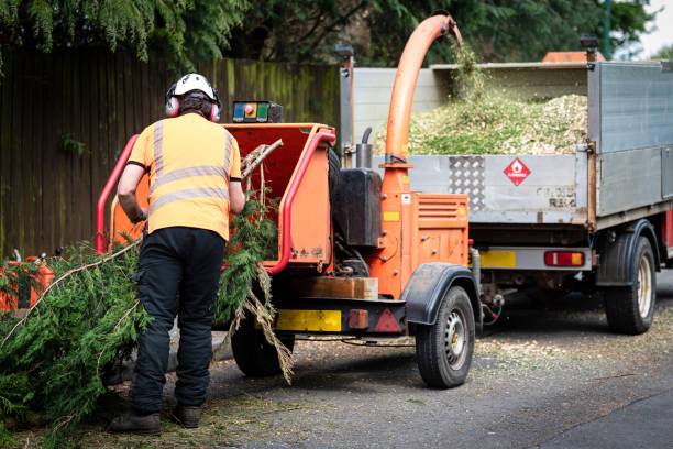 Best Tree Risk Assessment  in Knightsen, CA